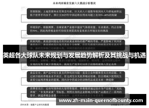 英超各大球队未来规划与发展趋势解析及其挑战与机遇